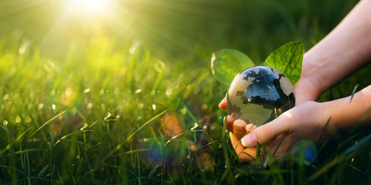 Hands holding a globe in a grassy field